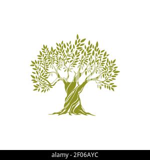Green tree extra virgin olive oil symbol isolated Stock Vector