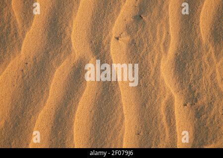 sand wave in sunset light created by wind on wandering dune Rubjerg Knude near Lønstrup, Denmark Stock Photo