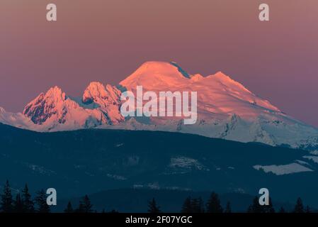 Volcanic Mount Baker in Washington State in the pink glow of sunset Stock Photo