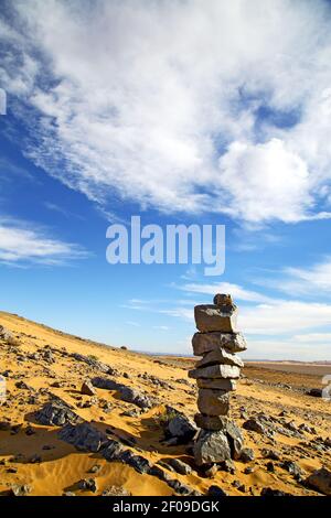 Bush old fossil in  the desert   sahara and rock Stock Photo