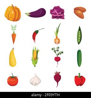 Vegetables colored and isolated icon set eco-friendly food on white background vector illustration Stock Vector