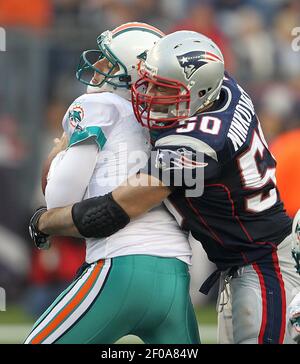 Video: Rob Ninkovich claims Rob Gronkowski will sign with Miami Dolphins -  Dolphin Nation