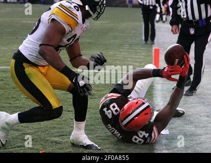 Cleveland Browns tight end Robert Royal bobbles the ball in the end zone in  the fourth quarter of an NFL game against the Pittsburgh Steelers in  Cleveland on January 2, 2011. The