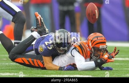 Cincinnati Bengals Jerome Simpson makes a touchdown against the Seattle  Seahawks in the first half of an NFL football game, Sunday, Oct. 30, 2011,  in Seattle. (AP Photo/Ted S. Warren Stock Photo 