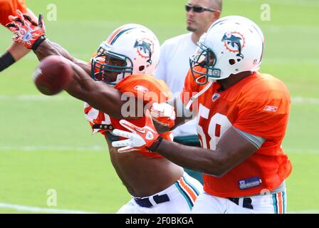 Miami Dolphins linebacker Cameron Wake (91) in action during the first  quarter of an NFL football game in Oakland, Calif., Sunday, Nov. 28, 2010.  (AP Photo/Tony Avelar Stock Photo - Alamy