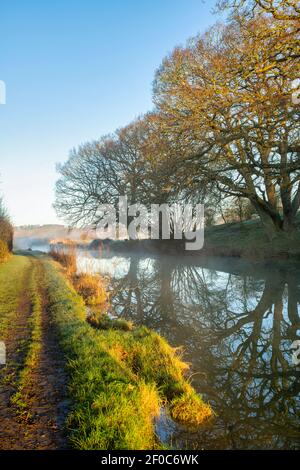 Oak trees along the Oxford canal on a february morning at sunrise. Upper Heyford, Oxfordshire, England Stock Photo