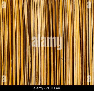 In oman abstract  texture of a bamboo wall background Stock Photo