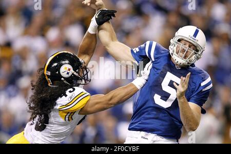 Pittsburgh Steelers strong safety Troy Polamalu (43) watches the replay on  his recovery of a Houston Texans fumble in the fourth quarter of the  Steelers 30-23 winat Heinz Field in Pittsburgh on October 20, 2014.  UPI/Archie Carpenter Stock Photo - Alamy