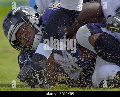 Baltimore Ravens running back Willis McGahee carries the ball during the  NFL football team's training camp, Friday, July 31, 2009, in Westminster,  Md. (AP Photo/Rob Carr Stock Photo - Alamy