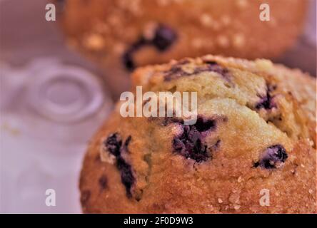 Fresh, blueberry muffin. Stock Photo
