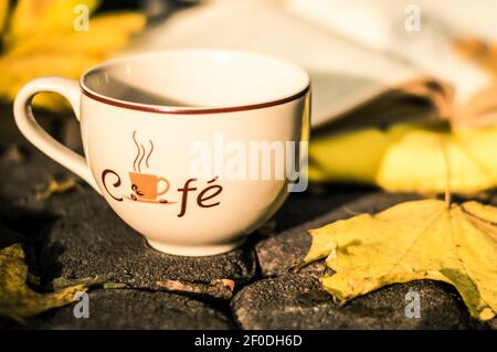 Cup of coffee when standing on the pavement in the park Stock Photo