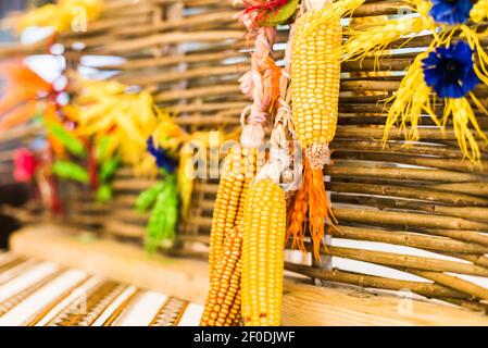 Corn decoration hanging on fence Stock Photo