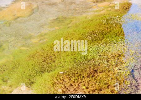 In oman  old river and  stone Stock Photo