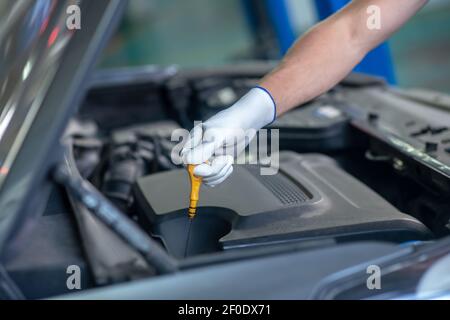 Male hand lowering dipstick measuring oil level Stock Photo