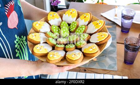 Happy Easter holiday baking. Сreative ideas of biscuits icing. Big dish with sugar cookies in the form of cute chickens and speckled eggs in the hands Stock Photo