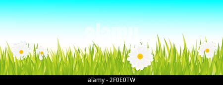Grass Border with daisies. Horizon with skyline and field of grass and flowers. 3D realistic Vector Illustration Stock Vector