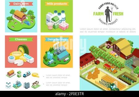 Agriculture and farming infographic template with dairy factory products house animals apple trees tractor harvesting wheat greenhouse windmill in iso Stock Vector