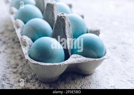 Dyed blue Easter eggs painted with natural dye red cabbage on grey concrete background. Row of ombre blue Easter eggs. Natural ecological staining wit Stock Photo