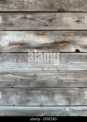 Old wood background. natural texture from wooden wall Stock Photo