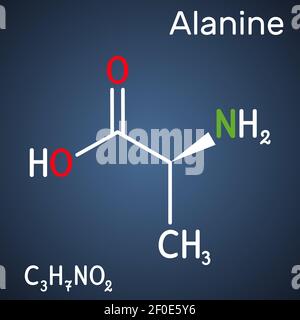 Alanine, L-alanine, Ala, A molecule. It is non-essential amino acid. Structural chemical formula on the dark blue background. Vector illustration Stock Vector