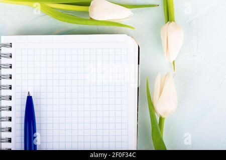 Blue ballpoint pen on a notebook with blank sheets. Tulips next to the notebook. Top view. Copy space. Stock Photo