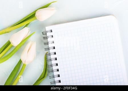 Notebook with checkered sheets and metal rings for attaching the sheets. Tulips next to the notebook. Copy space. Stock Photo