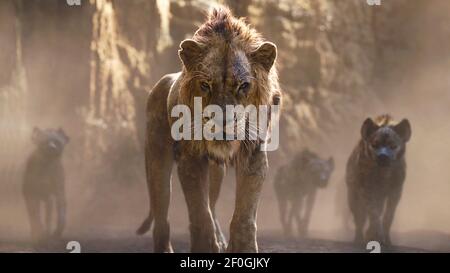 Scar The Lion King 19 Stock Photo Alamy