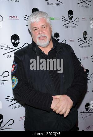 Whale Wars Captain
