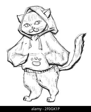 Cat dressed in the hoodie. Vintage monochrome hatching illustration isolated on white background. Hand drawn design element for t-shirt, poster and we Stock Photo