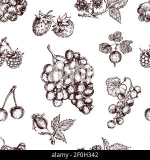 Berries hand drawn seamless pattern with black currant wild strawberry cherry and bunch of grapes vector illustration Stock Vector