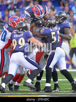 Buffalo Bills tight end Shawn Nelson (#89) during a minicamp event at Ralph  Wilson Stadium in Orchard Park, New York. (Credit Image: © Mark  Konezny/Southcreek Global/ZUMApress.com Stock Photo - Alamy