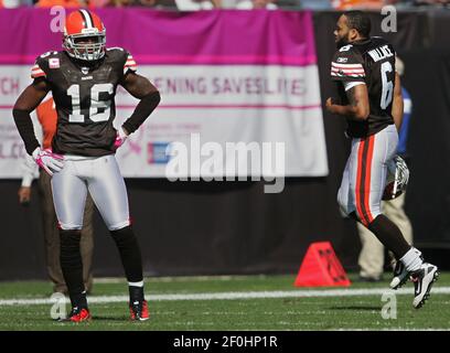 Playing quarterback, Cleveland Browns wide receiver Josh Cribbs (16) looks  for a receiver against the Atlanta Falcons during their NFL football game  on Sunday, Oct. 10, 2010, in Cleveland. (AP Photo/David Richard