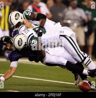 Photo: New York Jets Shaun Ellis Sacks Baltimore Ravens quarterback Joe  Flacco at New Meadowlands Stadium in New Jersey - NYP20100913105 