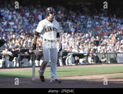 Fan favorite ANDRES TORRES and Giants mascot Lou Seal make their way across  the outfield grass at AT& T Park in …