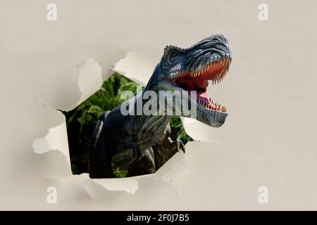 Closeup view of an angry T-Rex dinosaur figurine climbs out of torn paper. Monstrous animal with open mouth and sharp teeth Stock Photo