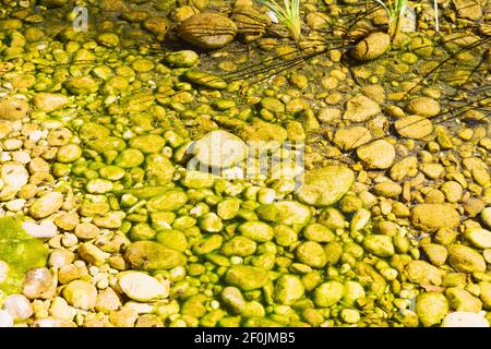 In oman  old river and  stone Stock Photo