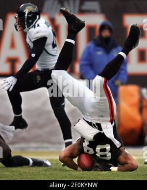 Cleveland Browns tight end Robert Royal bobbles the ball in the end zone in  the fourth quarter of an NFL game against the Pittsburgh Steelers in  Cleveland on January 2, 2011. The