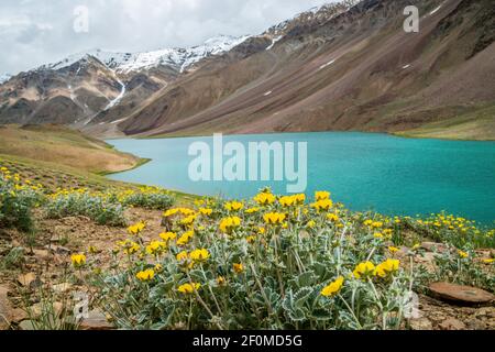 Chandratal lake on a cloudy day Stock Photo