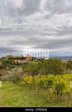 Tuscany's most famous vineyards near town Montalcino in Italy Stock Photo