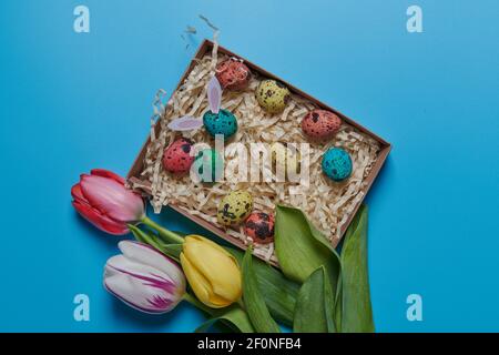 colored eggs in a box and colored flowers tulips Stock Photo