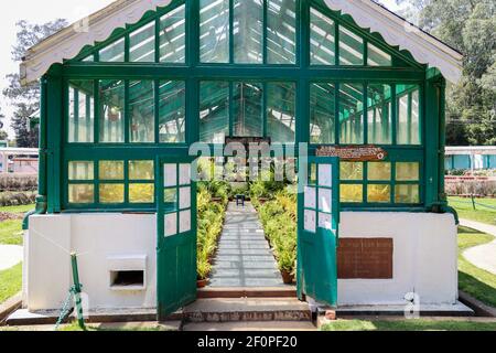 Fern house at Government Botanical Gardens, Ooty, Tamil Nadu, India