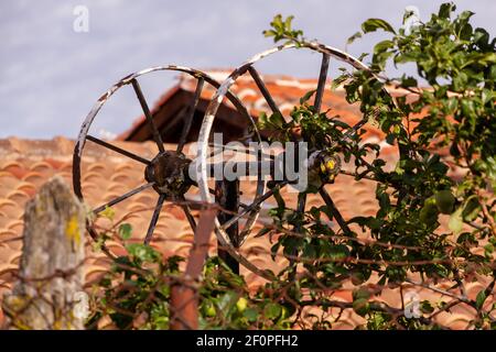 An old rusty metal wheel surrounded by leaves Stock Photo