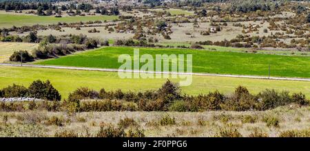 French agriculture in the valley in a suuny day Stock Photo