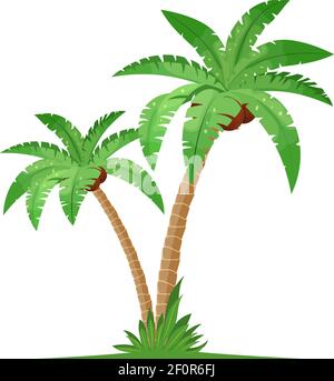 Two coconut palm trees with grass Stock Vector