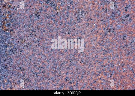 Rusty metal plate, Bavaria, Germany Stock Photo