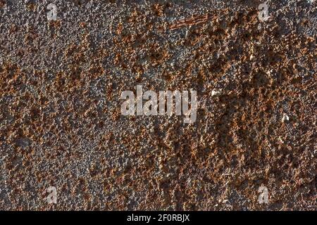 Rusty metal plate, Bavaria, Germany Stock Photo