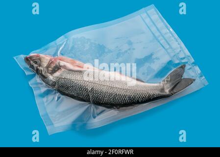 sea bass in vacuum sealed for sous vide cooking, isolated on blue background