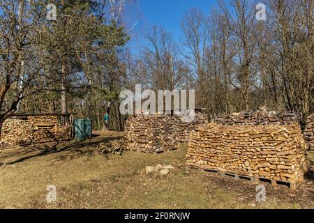 firewood in the garden. Pile of chopped wood in the spring garden. Wood heating. Ecological heating. Stock Photo