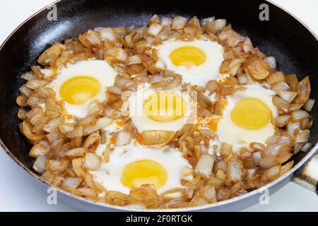 Fried eggs with onion on a large pan Stock Photo