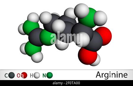 Arginine, Arg, L-arginine, R essential amino acid molecule, it is used in the biosynthesis of proteins. Molecular model. 3D rendering. 3D illustration Stock Photo